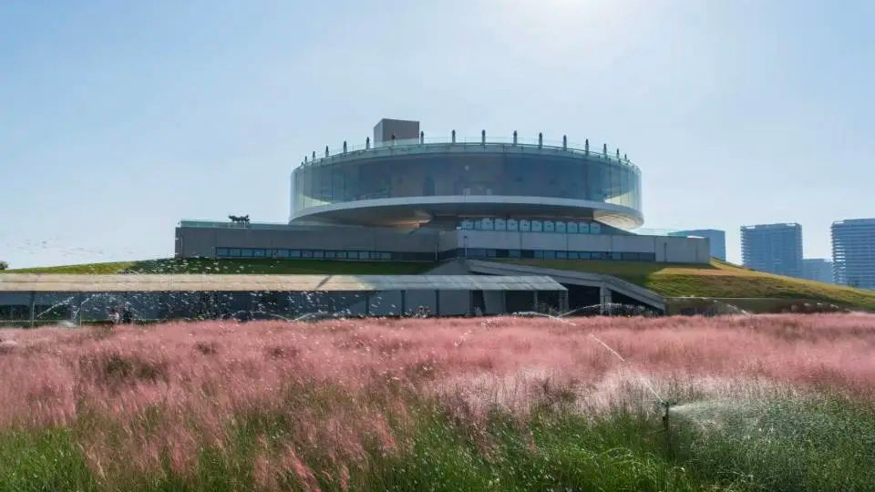 全部免费！郑州地铁直达的7大赏秋圣地！