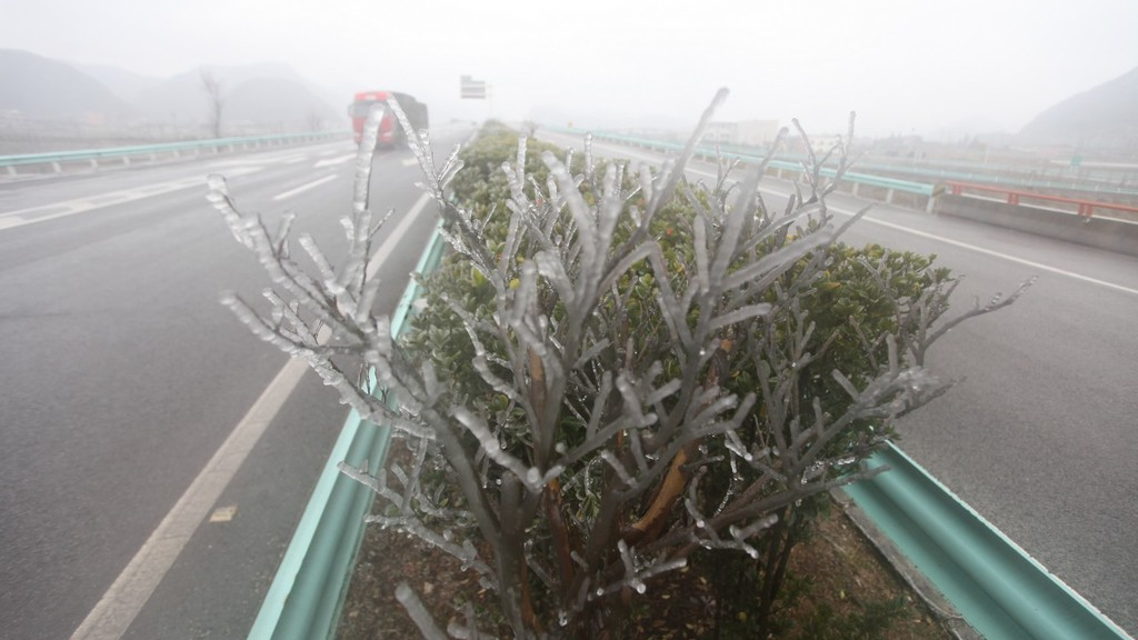 气温猛降20℃！河南发布低温健康风险提示→