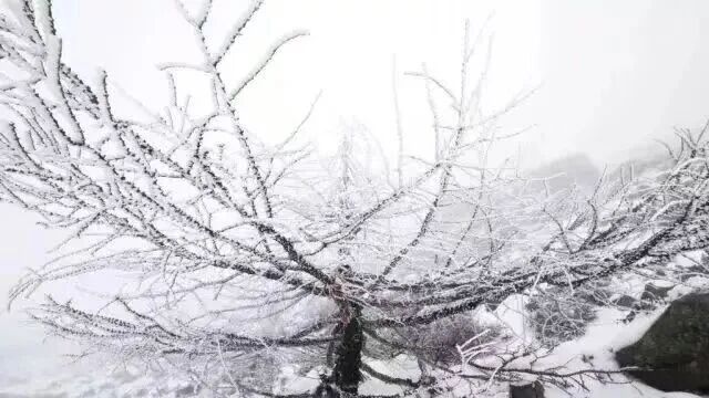 郑州出发睡一晚就能到的8大看雪城市！附美食攻略