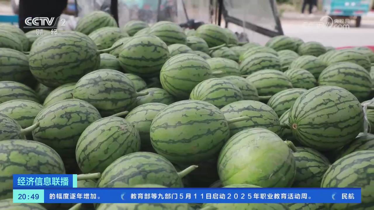 【央視關(guān)注河南中牟】吊秧西瓜大量上市 價(jià)格回落