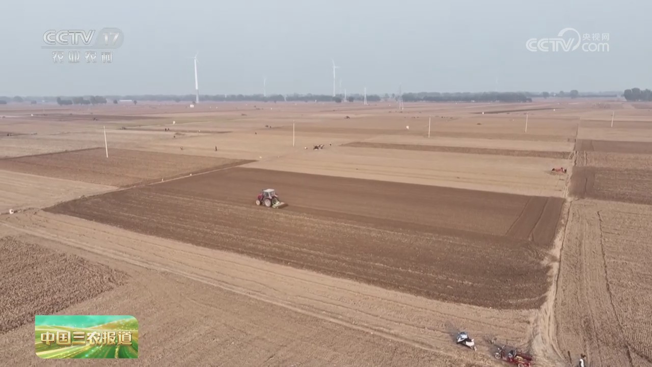 【央視關(guān)注河南滑縣】先服務(wù)后補貼 助力冬小麥加速播種