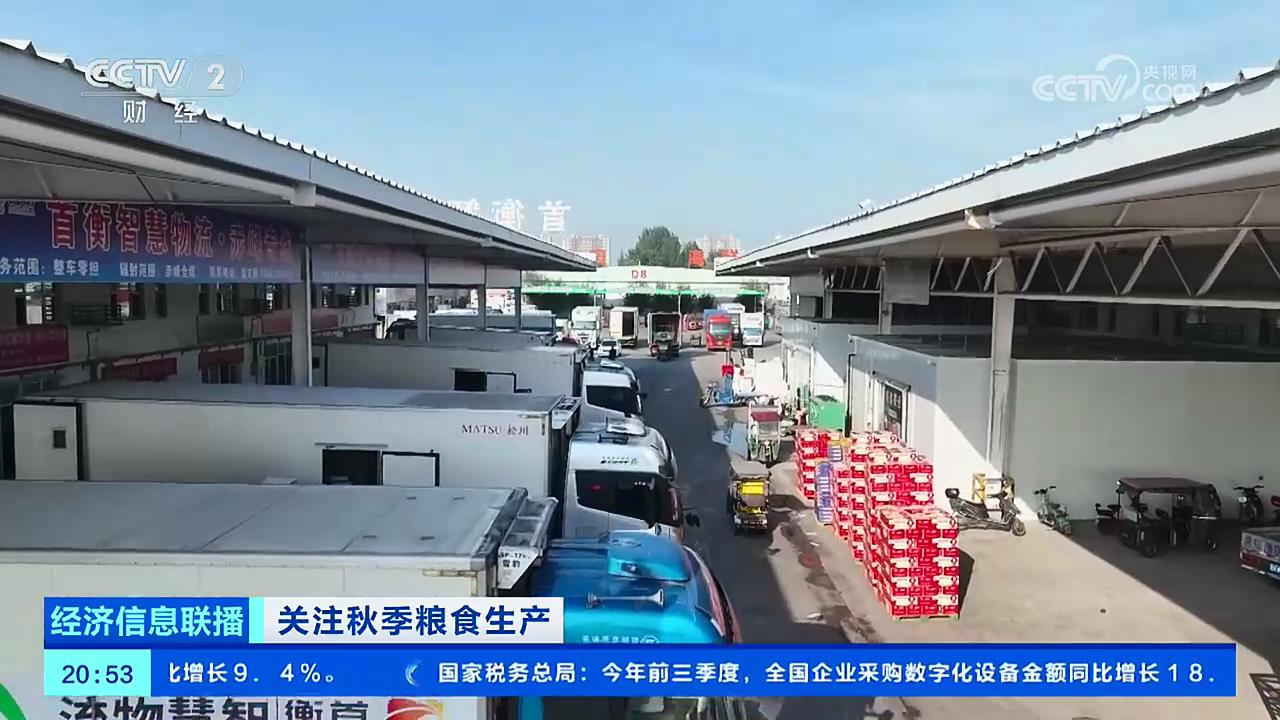 【央视关注河南郑州】从