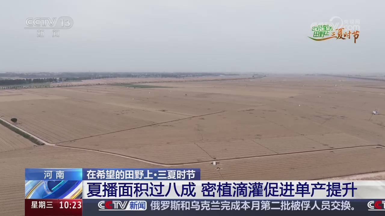 【央视关注河南】夏播面积过八成 密植滴灌促进单产提升