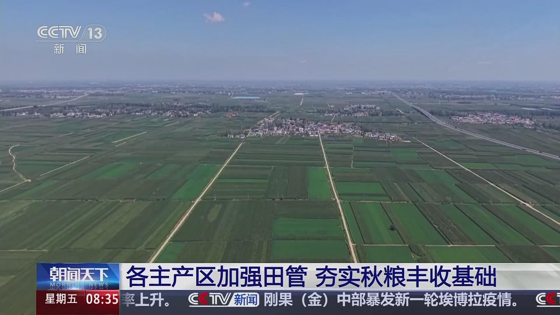 【央視關注河南漯河】加強田管  夯實秋糧豐收基礎