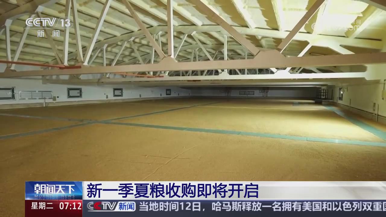【央視關(guān)注河南】新一季夏糧收購即將開啟