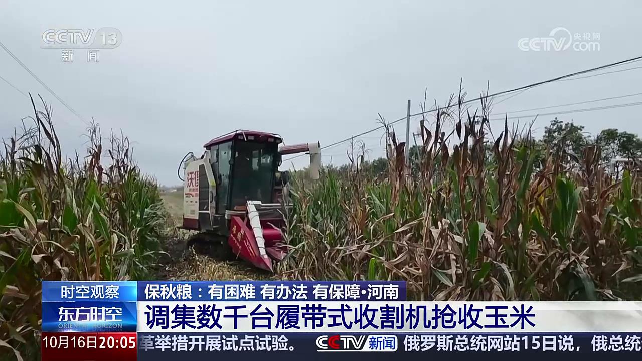 【央視關(guān)注河南】調(diào)集數(shù)千臺(tái)履帶式收割機(jī)搶收玉米
