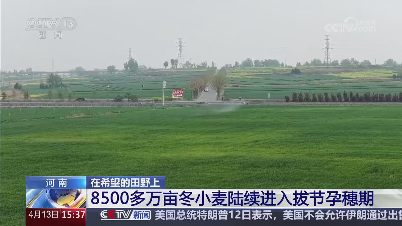 【央視關(guān)注河南】8500多萬(wàn)畝冬小麥陸續(xù)進(jìn)入拔節(jié)孕穗期