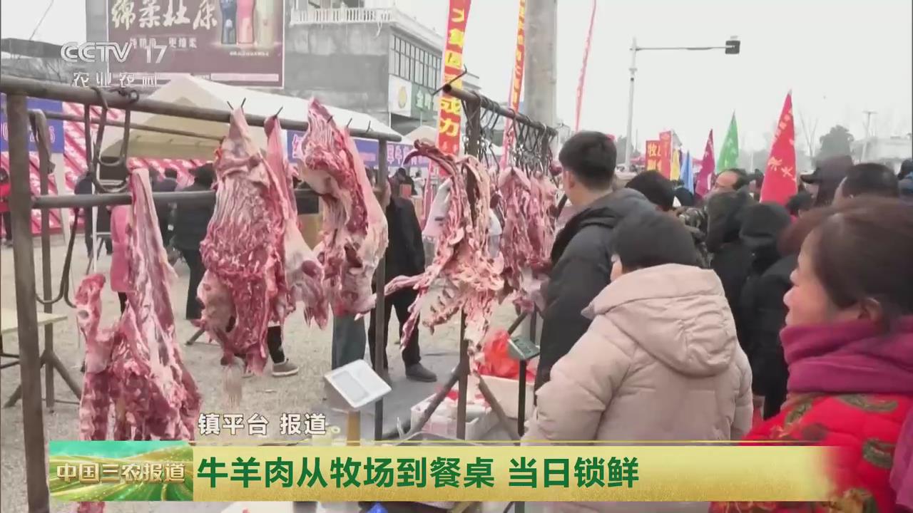 【央視關注河南鎮平】牛羊肉從牧場到餐桌 當日鎖鮮