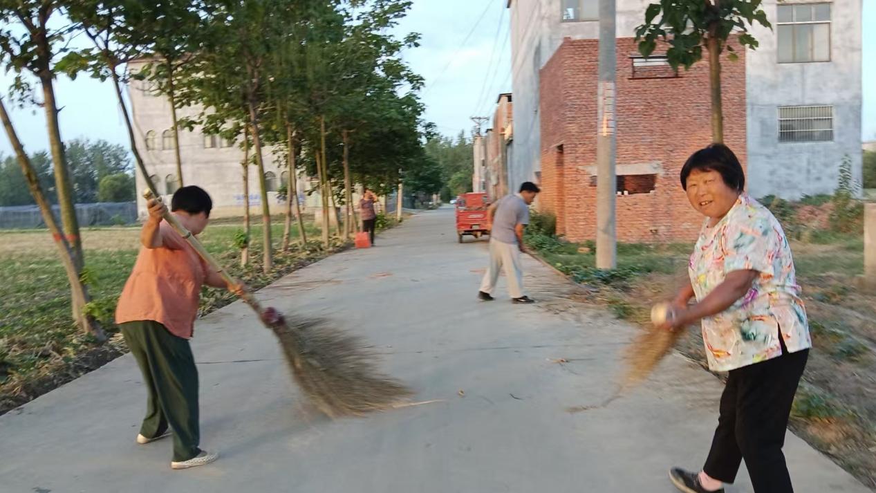 新蔡县棠村镇:人居环境整治绘就乡村新画卷