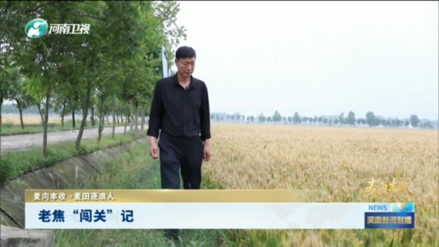 老焦“闯关”记丨麦向丰收·麦田逐浪人