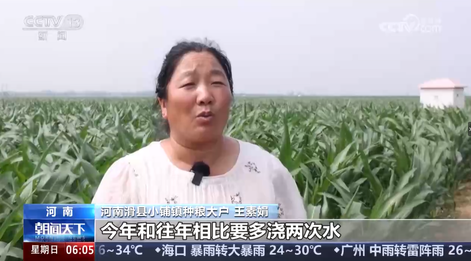 【央視關(guān)注安陽(yáng)滑縣】利用微噴灌技術(shù) 確保玉米收成