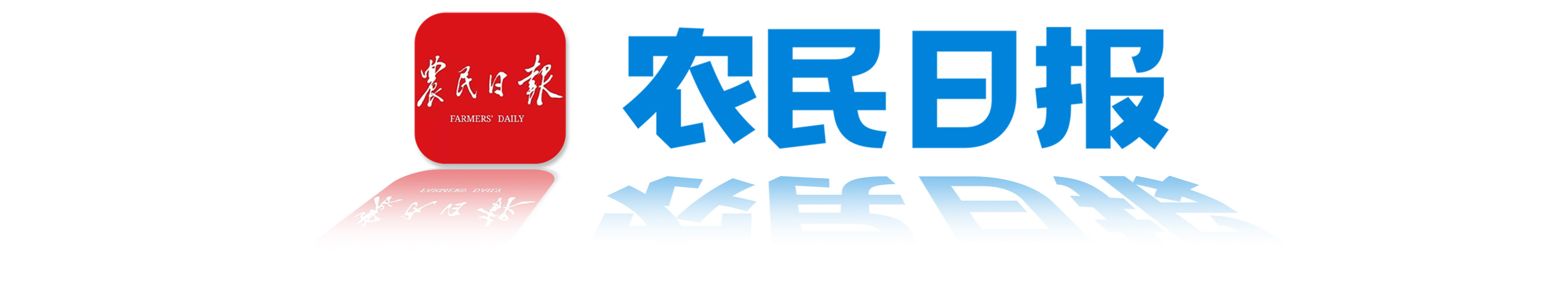 关注河南开封菊花文化节等内容