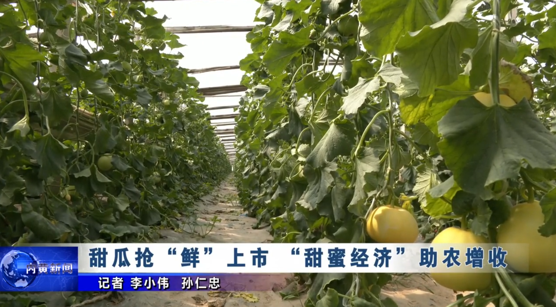 首页