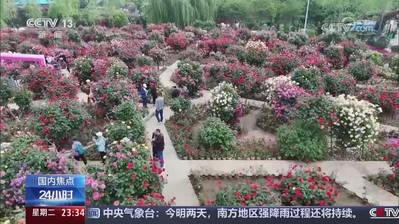 【央視關(guān)注河南南陽】春日美景 激活文旅消費(fèi)
