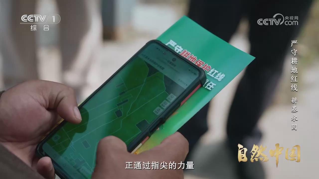 【央視關(guān)注河南鄭州】嚴(yán)守耕地紅線 耕基永固