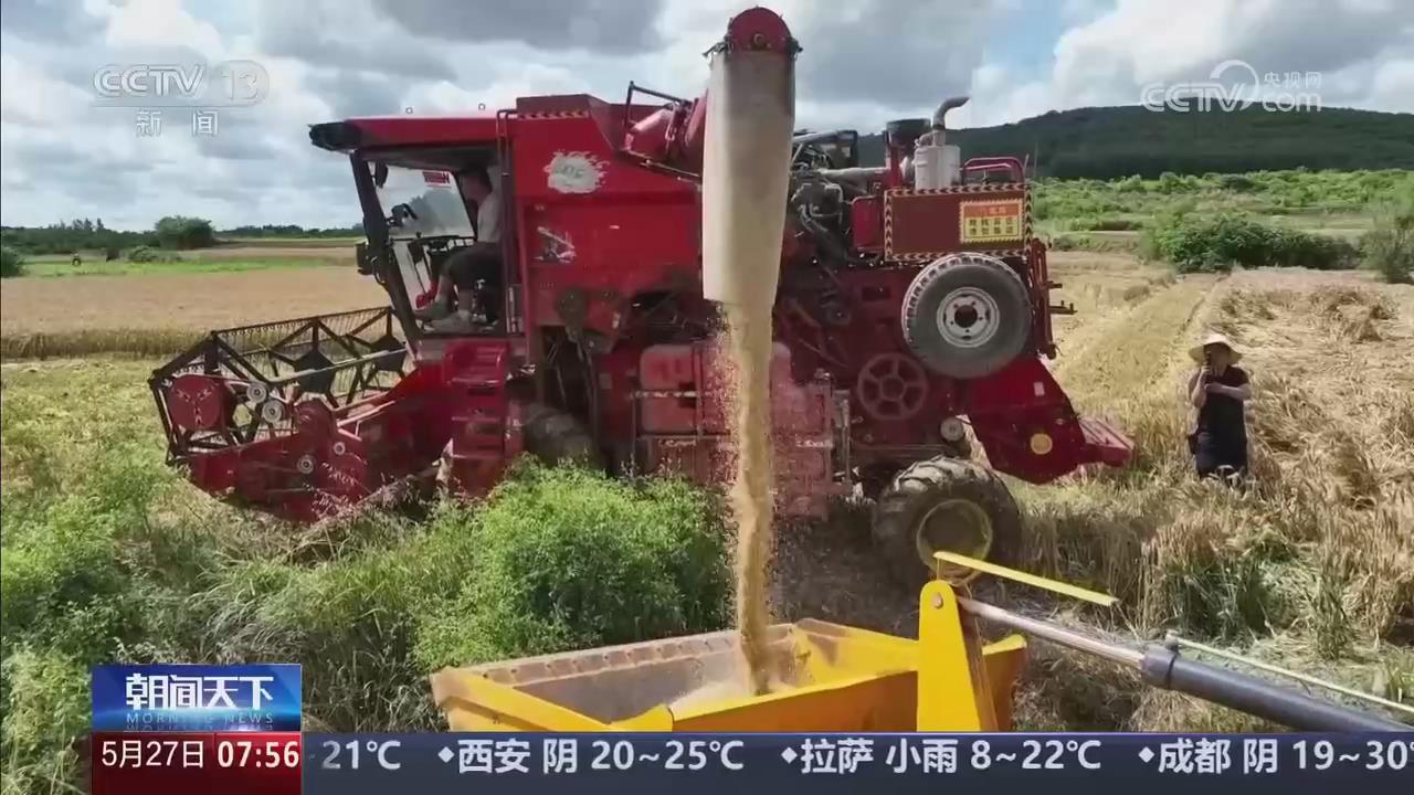【央视关注河南南阳】多部门联动 精准服务护航“三夏”