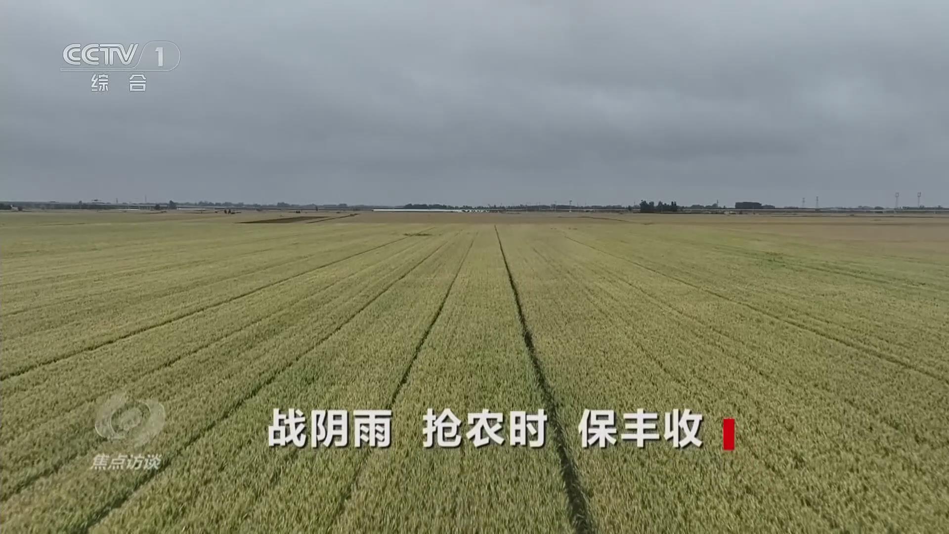 【央視焦點(diǎn)訪談關(guān)注河南南陽】戰(zhàn)陰雨 搶農(nóng)時 保豐收