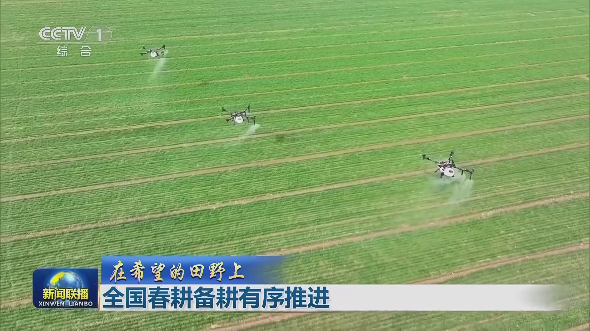 【央視聯(lián)播關注河南】因苗施策  強化春季田間管理