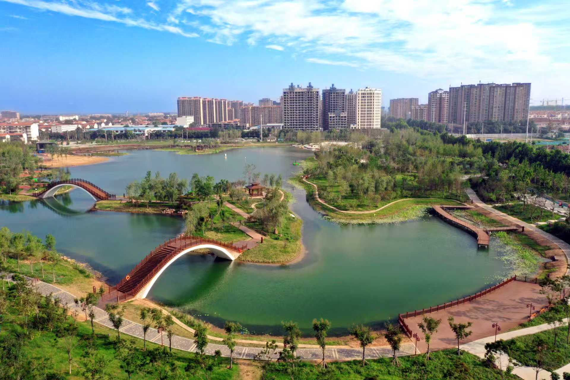 温县,换"秋装"了!