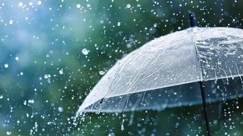 今日全省多地有雨，北部有中到大雨，局部暴雨