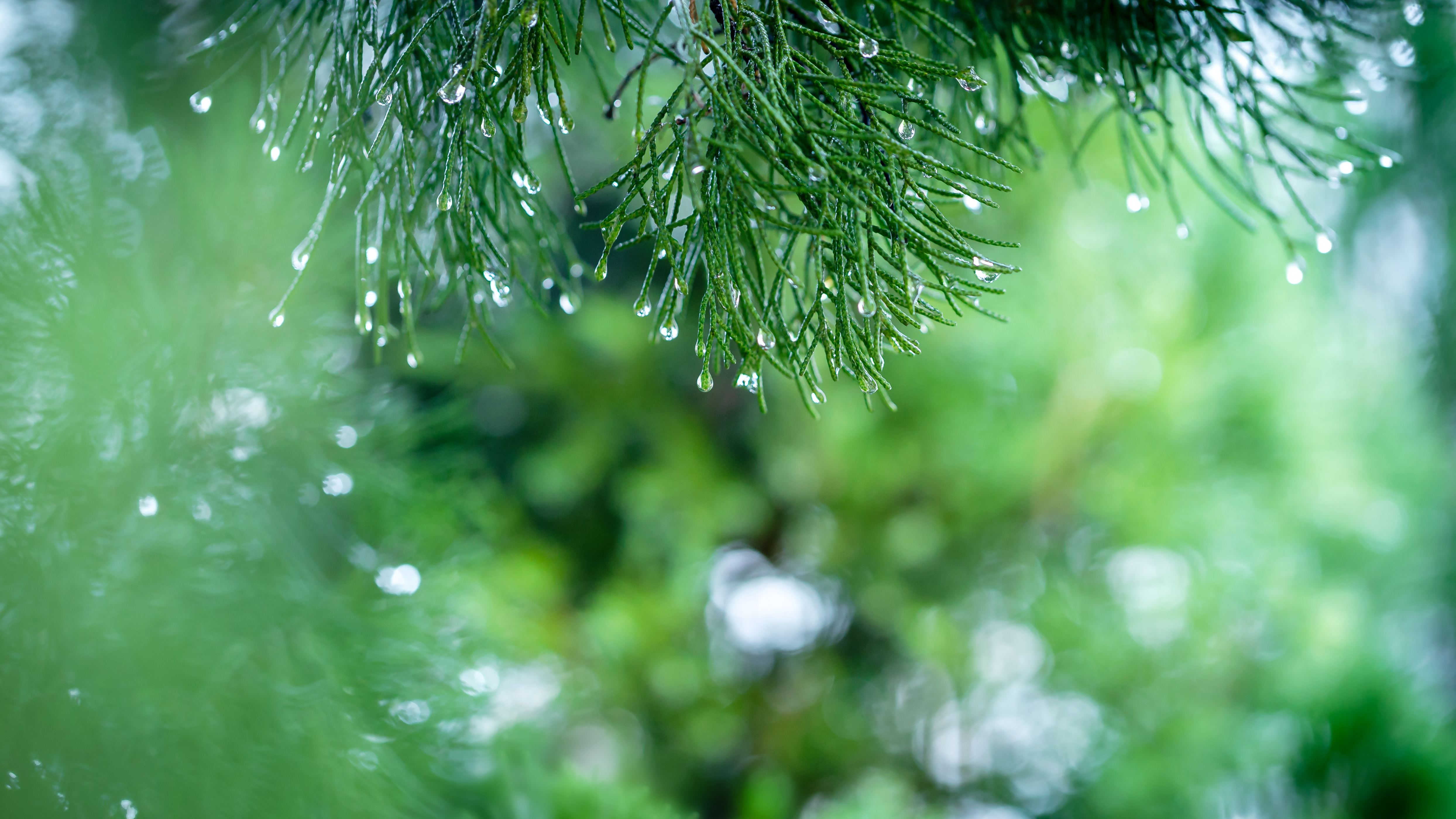 全省大部有雨，多地中到大雨，三门峡局部有暴雨