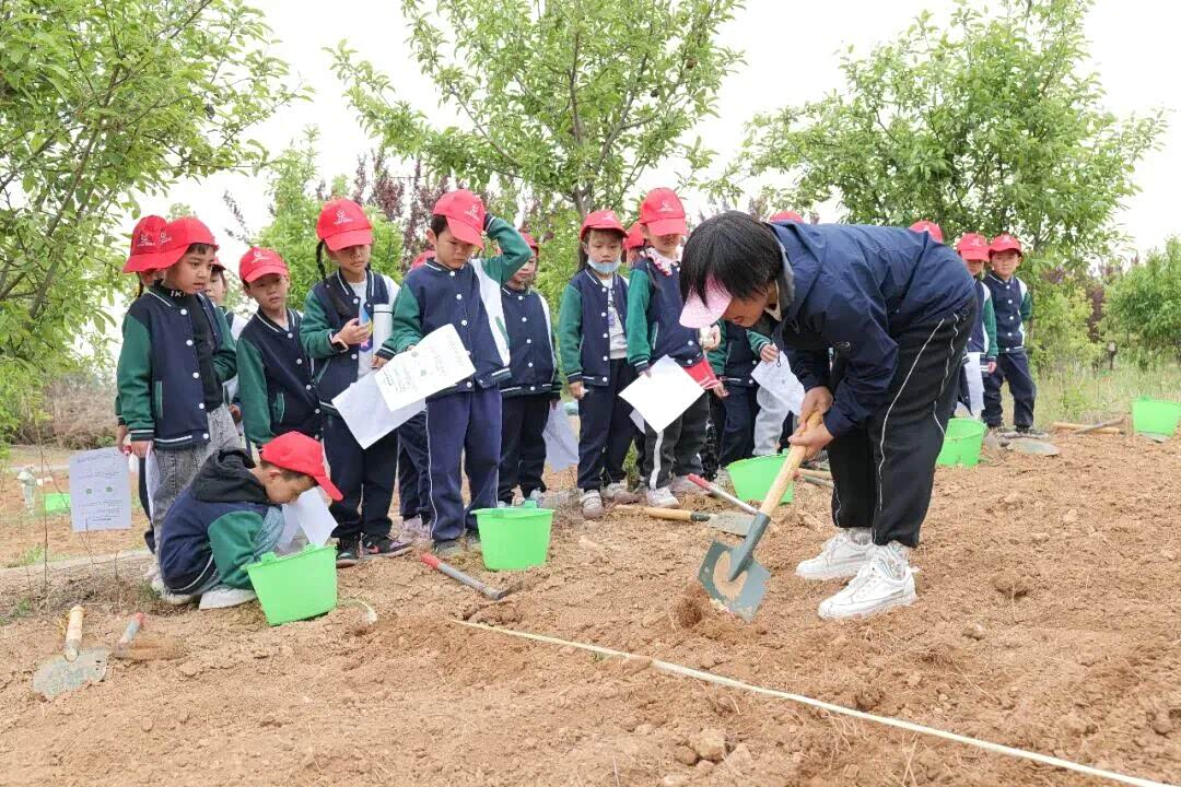 春日限定！洛阳伊滨4月活动乐不停
