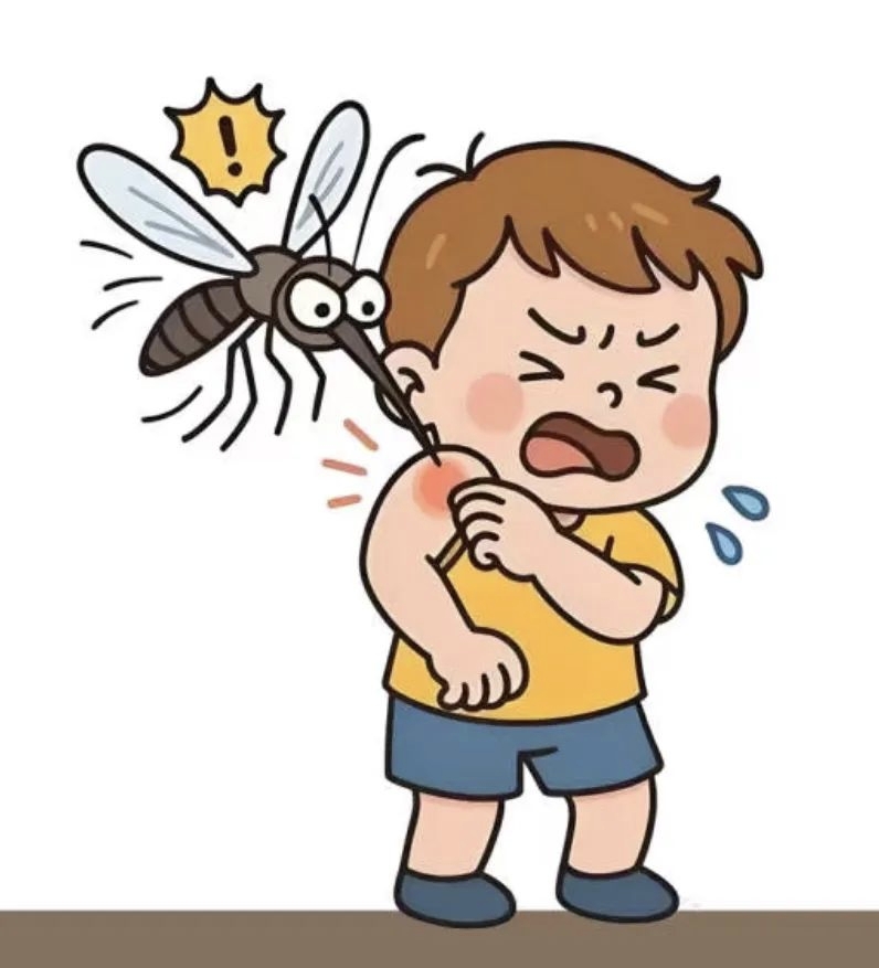 你是招蚊子体质吗?这份夏季防蚊攻略快收藏