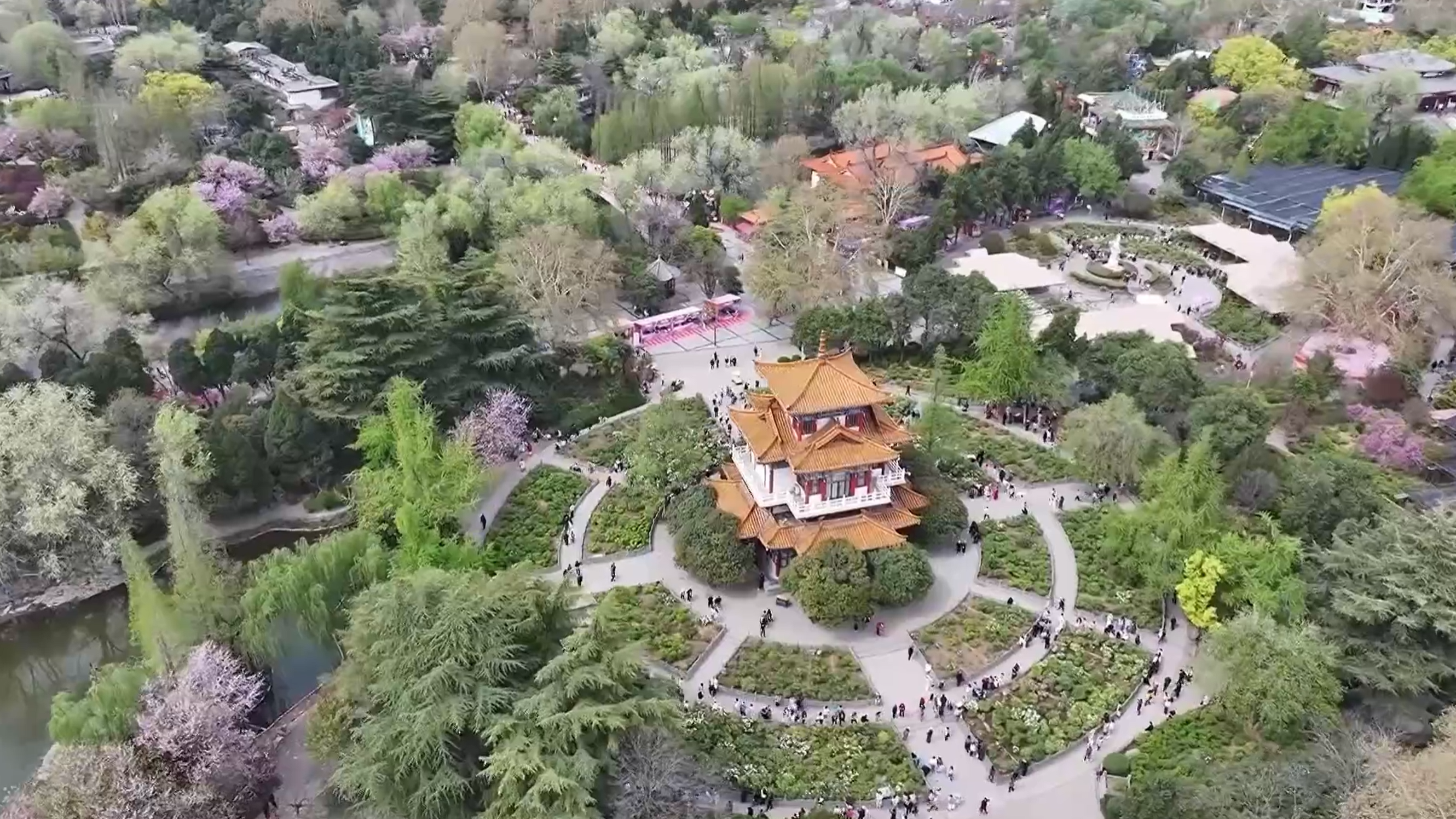 【在央廣聽河南】洛陽早開牡丹綻放 春日經(jīng)濟(jì)激活消費(fèi)新潛能