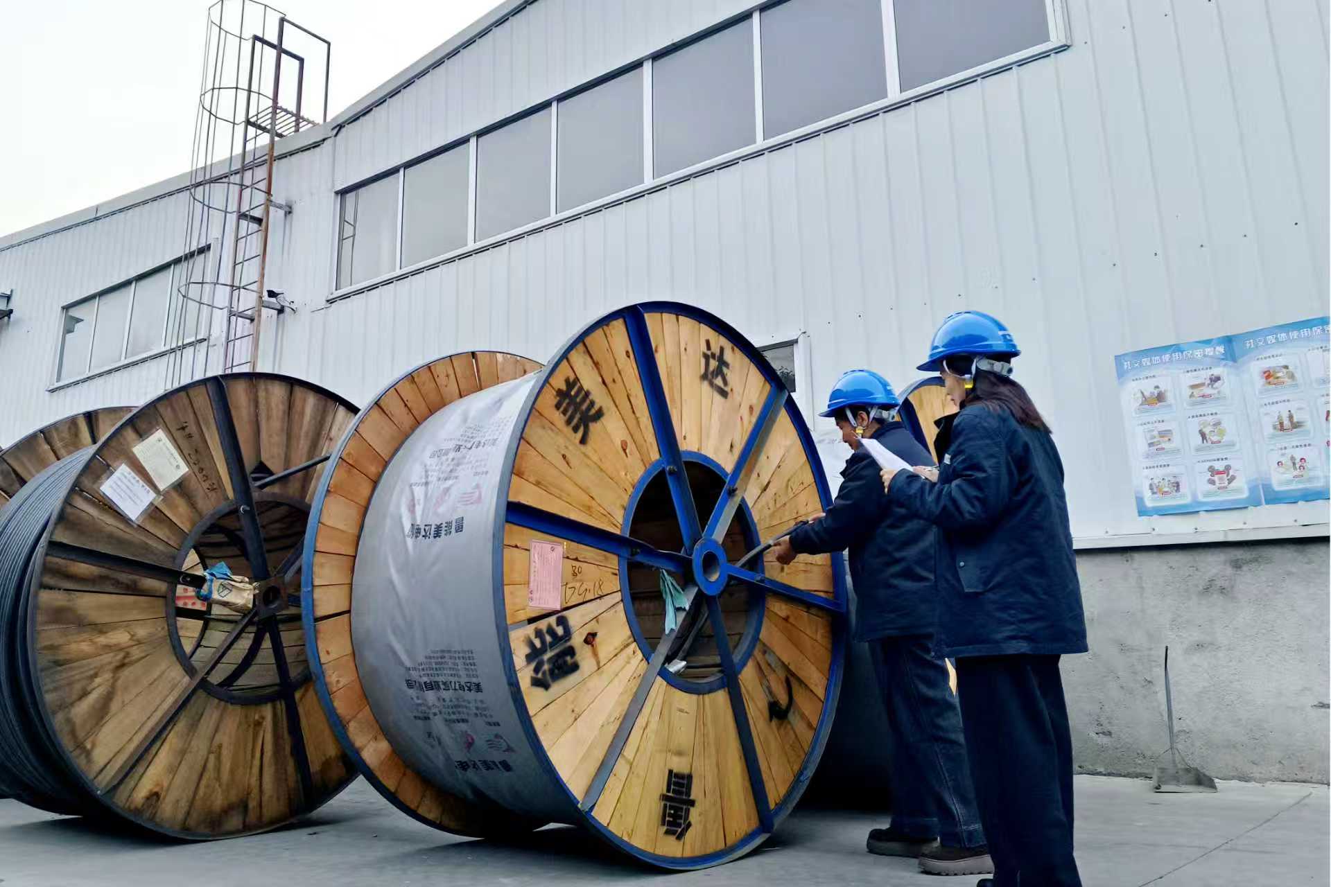 国网平舆县供电公司：供电物资“大体检”筑牢冬季“保障线”