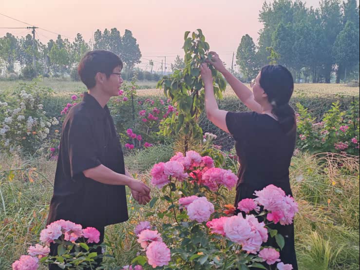 驻马店市平舆县90后北漂青年返乡种花小山村变身网红鲜花村