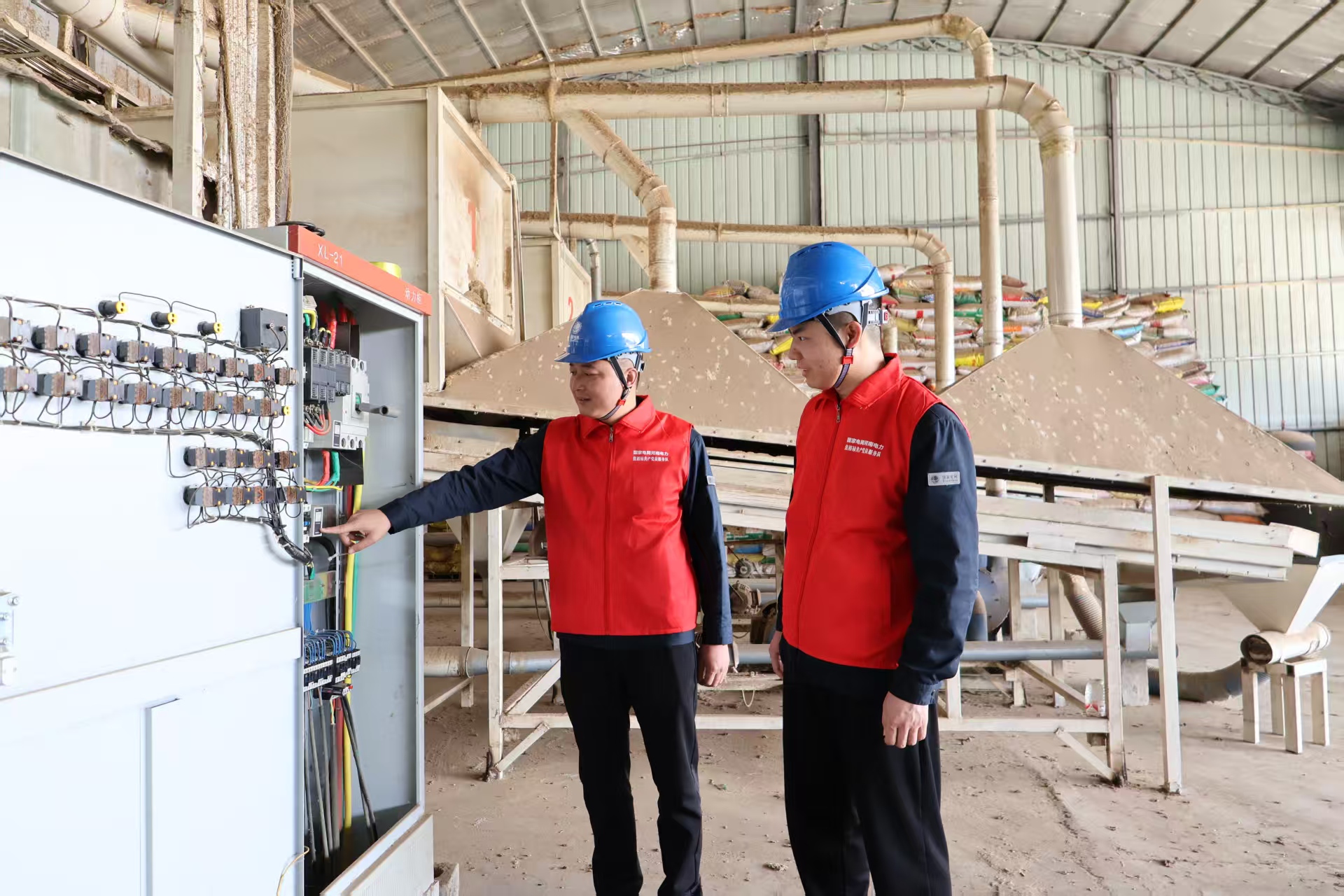 国网泌阳县供电公司：电力赋能药材飘香