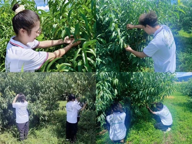 应科实践季|新农对话谋新，童趣课堂暖心​——探园赋能兴乡，童心筑梦远航。