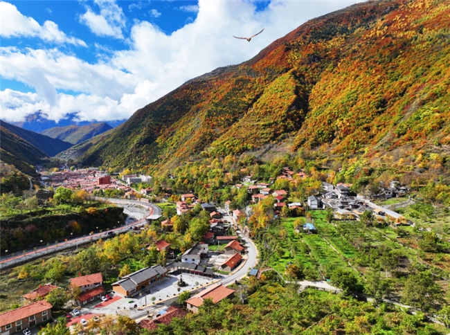 深耕文化根脉 赋能乡村振兴 黑水县“尔库”农耕文化节奏响非遗保护与乡村振兴协奏曲