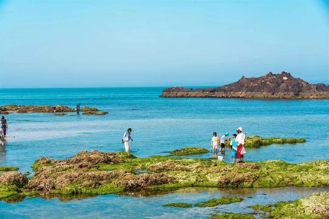 鸡鸣岛赶海项目上线：夏日亲子探海，大海馈赠触手可及！