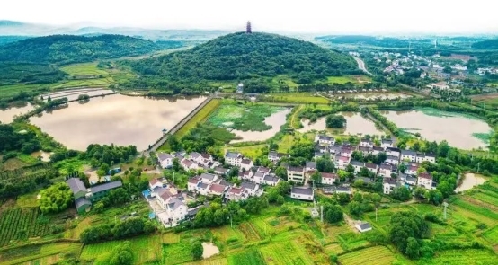 南京高淳：“蟹”逅夏日 凭“信”生金