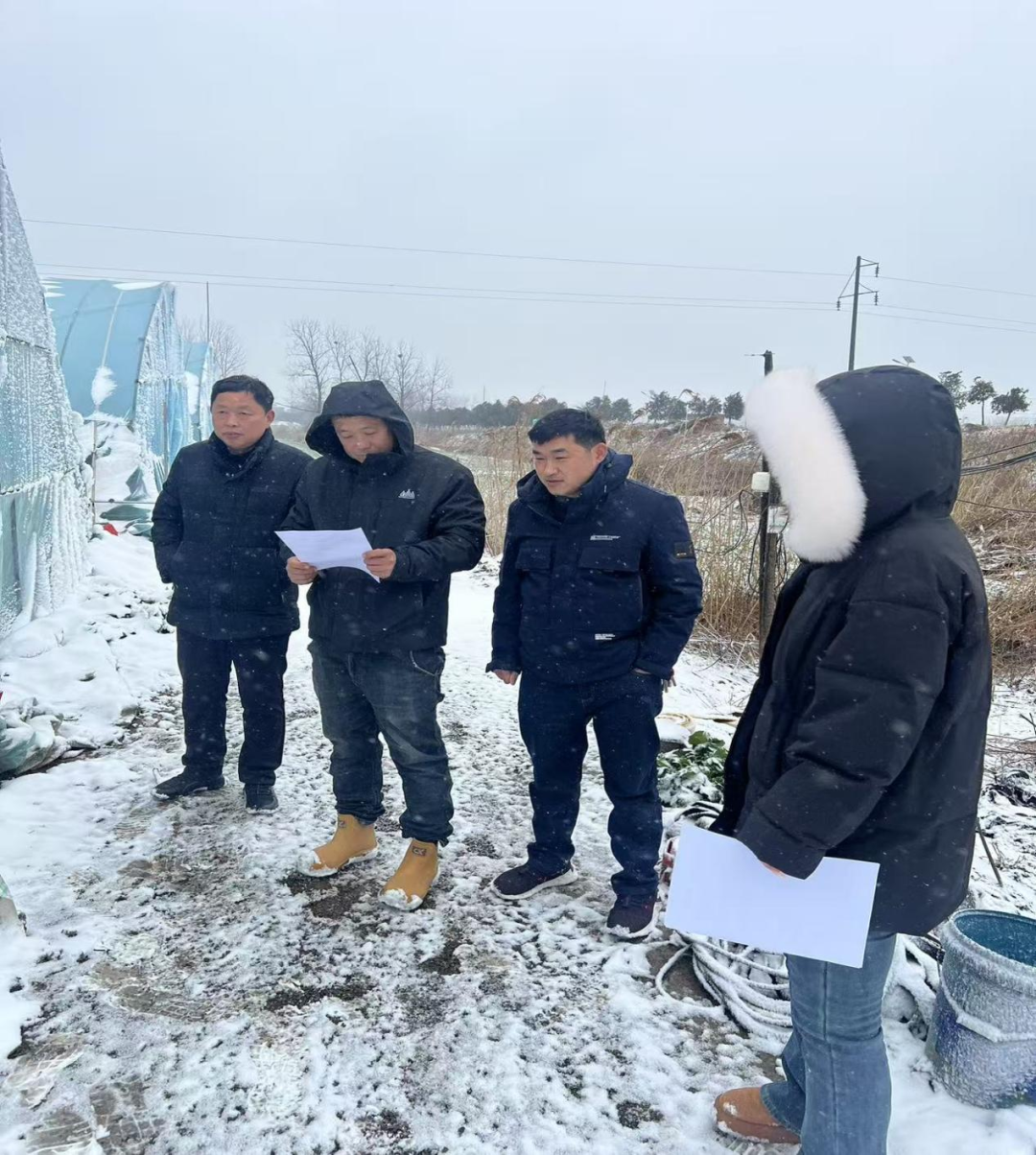 新蔡县孙召镇：政策宣传护安全 严防暴雪保生产