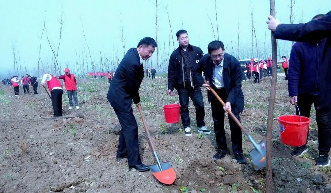 新蔡县开展2026年义务植树活动
