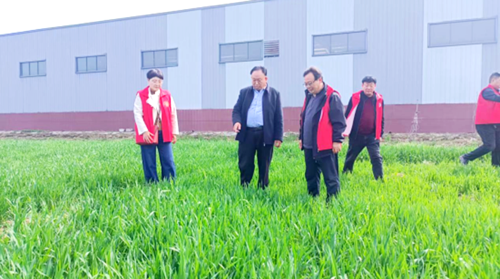 遂平县科技局组织科技特派员开展春季农业技术服务