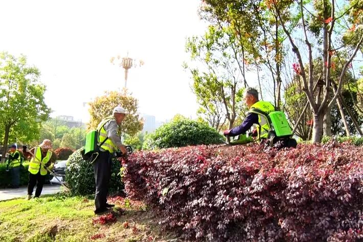 遂平县开启春季绿化集中养护模式