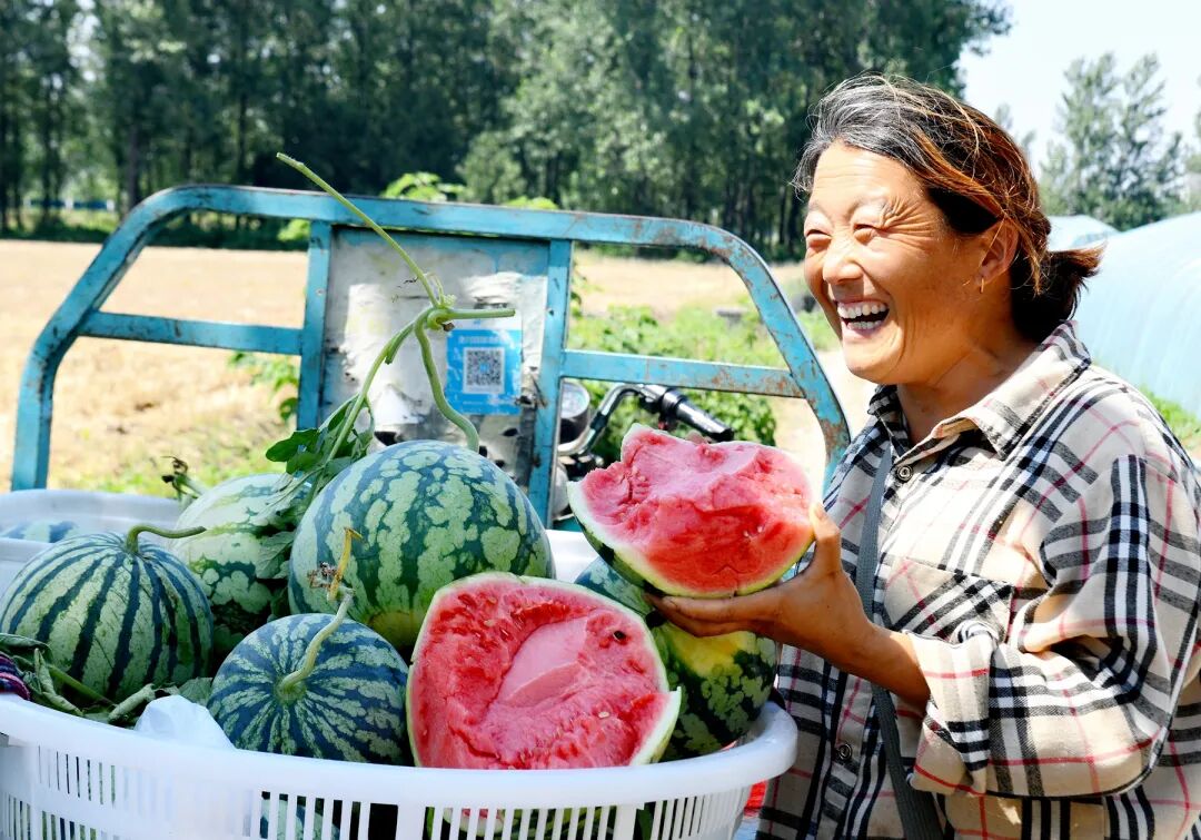 新蔡县：西瓜、豆角套种模式助农增收