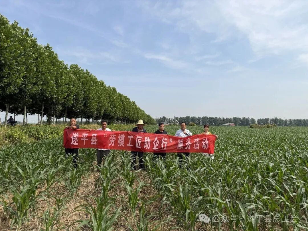 田间送农技 匠心助丰收—遂平县总工会开展“劳模工匠助企行”活动