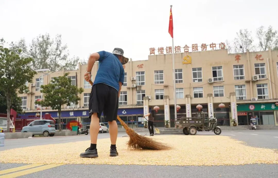 新蔡县开放门前广场 助力群众晾晒秋粮解民忧