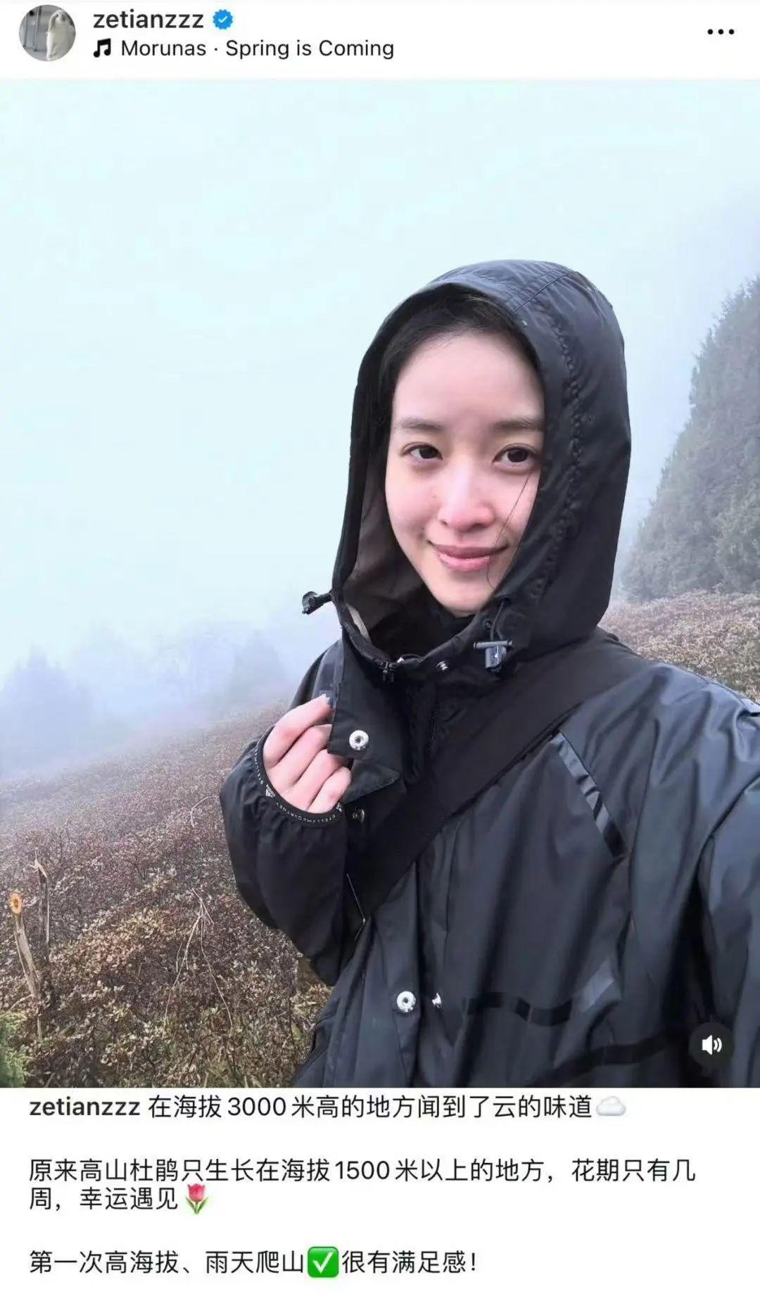 31岁“奶茶妹妹”章泽天晒旅行照,在山间徒步邂逅高山杜鹃