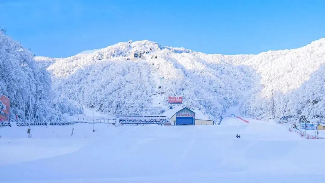 河南宝藏滑雪场，开板啦！