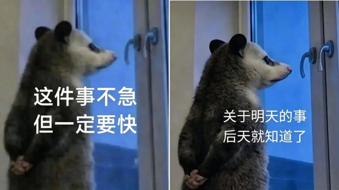 “背手负鼠”火了，网友到处寻图！它到底什么来头？