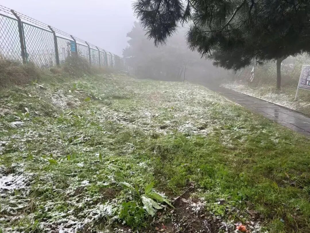 嵩山下雪了！但气温即将触底反弹，开始升温模式