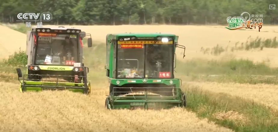 以种适地、以虫治虫……科技赋能“三夏” “智慧种地”绘就好“丰”景