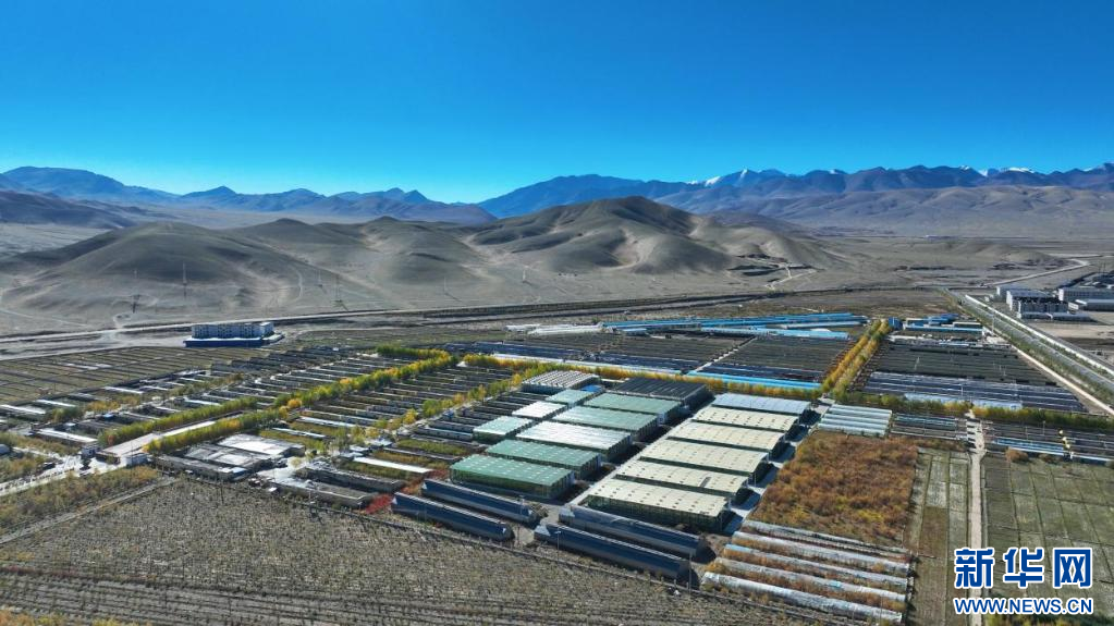 石榴花开 籽籽同心|云端的菜篮 百姓的幸福