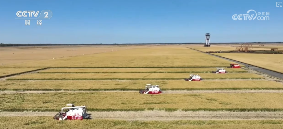 多举措协同全力推进秋收 高科技农机与时间“赛跑”抢收抢种
