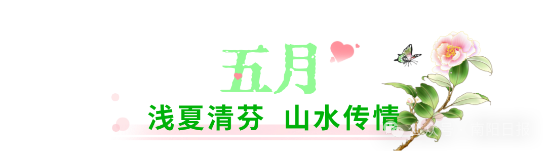 图片修改 (4).png